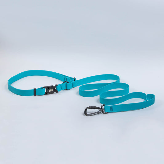Hands-Free Leash