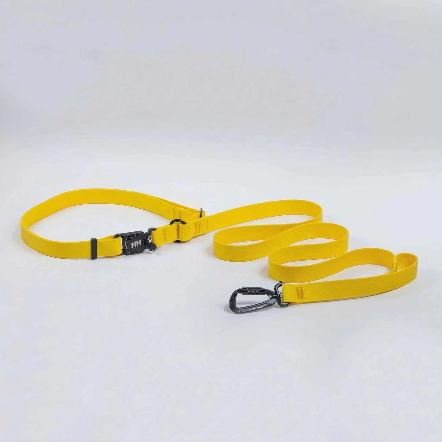 Hands-Free Leash