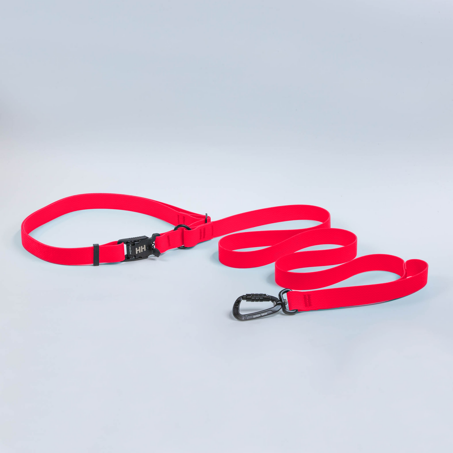 Hands-Free Leash