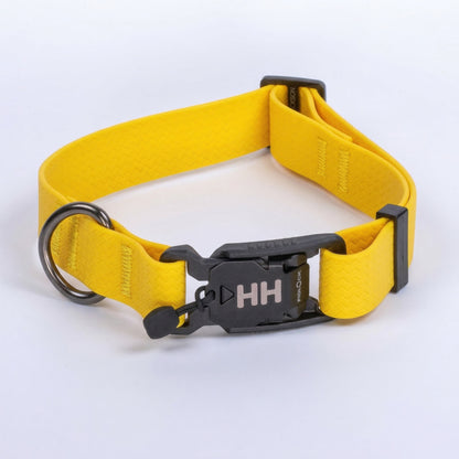 Camper Collar