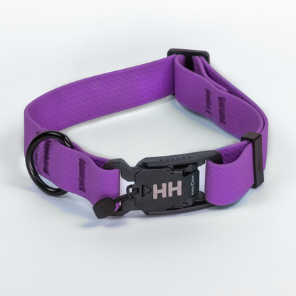 PREORDER Camper Collar