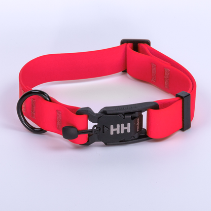 PREORDER Camper Collar