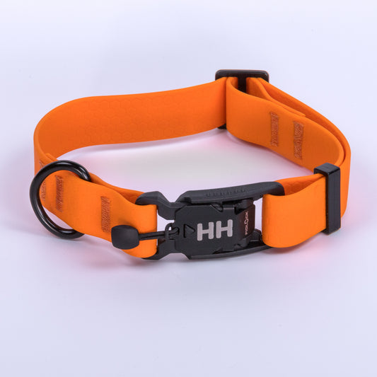 Camper Collar