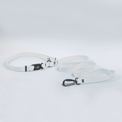 Hands-Free Leash