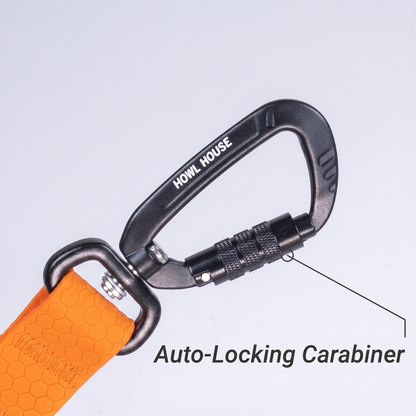 Auto-locking carabiner close-up