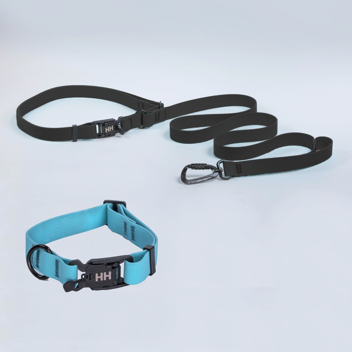 The Everywhere Kit — Black leash, Sky collar