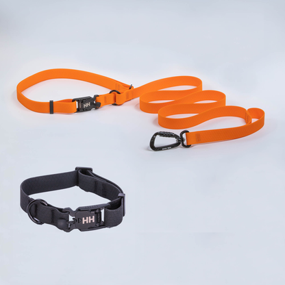 The Everywhere Kit — Orange leash, Black collar