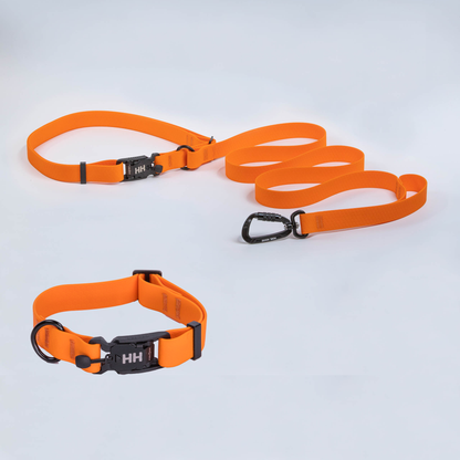 The Everywhere Kit — Orange leash, Orange collar