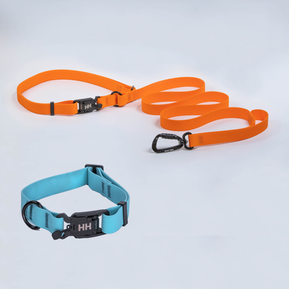 The Everywhere Kit — Orange leash, Sky collar