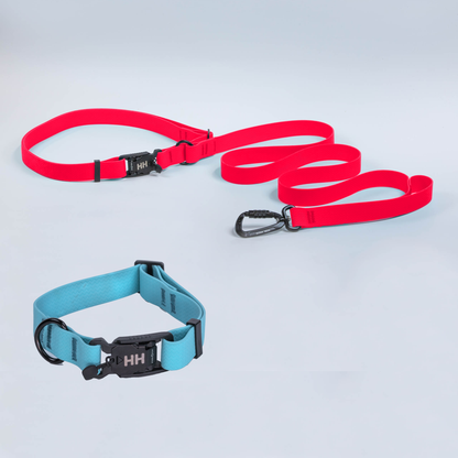 The Everywhere Kit — Sun Kiss Red leash, Sky collar