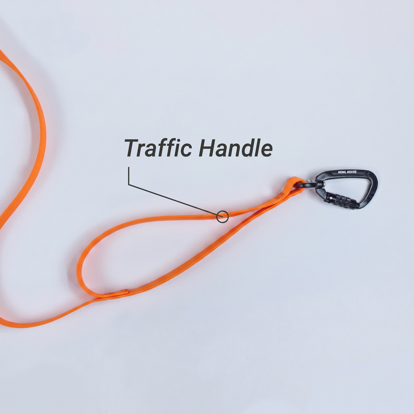 Hands-Free Leash